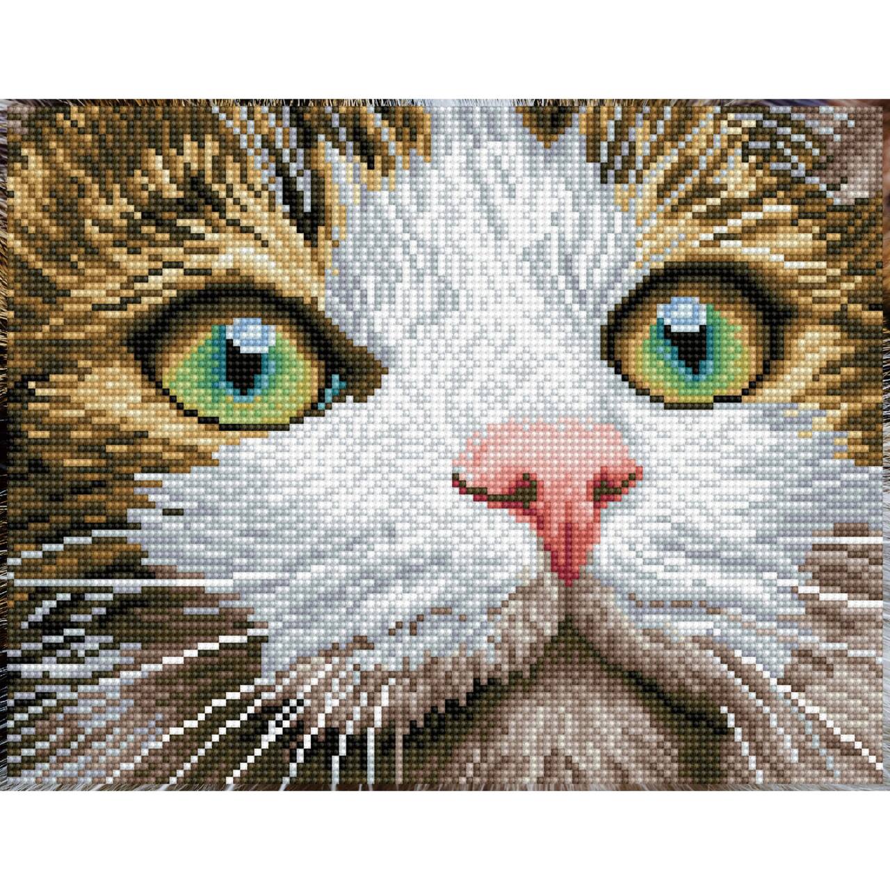Diamond Dotz® Intermediate Green Eyed Beauty with Frame Diamond Painting Kit